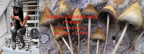 первитин Пестово