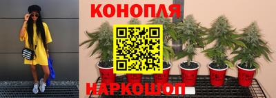 прущие крисы Жуковский